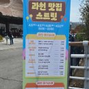 해피빌 | 과천 렛츠런파크 벚꽃 축제🌸실시간 후기 (+경마장 데이트 코스)