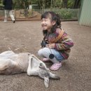 자연안에어린이집 이미지