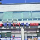 백천선어마을 | 여수 백천선어마을 생선구이 현지인맛집 착한가격업소 내돈내산