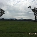 운정목장 이미지