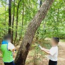 세정어린이집 이미지