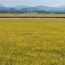 상주시 조합공동사업법인 이미지