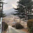 제천옛날학교캠핑장 이미지