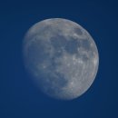 진우약품(주) | 25년이 되어서... 자율동아리 기록