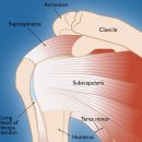 바른오늘의원 이미지