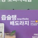 해담은 이미지