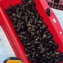 옥계정펜션 이미지