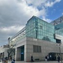 청량리미용실 &lt;박승철헤어스투디오 청량리점&gt;에서 젤리펌 구름펌 솔직후기