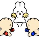 돈다리족발
