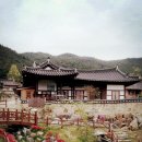 엄마집