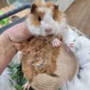 와우펫앤쥬(기장점) 이미지