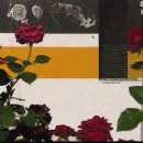 미소지음 이미지