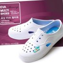 모닝글로리 이미지