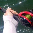 광어생각 이미지