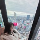 스테이그라피 | March 3월 착용샷 모음( 샤넬,셀린느,미우미우,베르사체 etc )