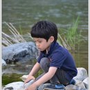 곰소그린 이미지