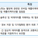 G4644 이미지