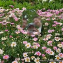 파티가는 댕댕이 | 순천 1박 2일 여행 코스 친구들과 순천여행 후기 (숙소, 가볼만 한 곳 총 정리)