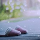 단심가 .... 페이지(드라마 - 다모 OST) 이미지