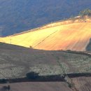 삽당령 정상 이미지