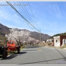 양지-2908 이미지