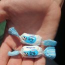 보림회타운 이미지