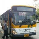 주정차51 이미지