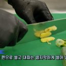 기미상궁