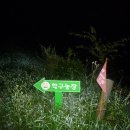 학구농장 Daum카페