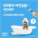 아이러브독 애견미용실 이미지