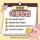 초돈파
