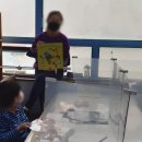 사단법인 더봄(안양행복지역아동센터) 이미지