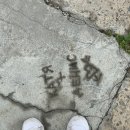 블라디