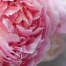 시원병원 이미지