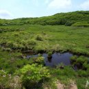 생태영상센터 이미지