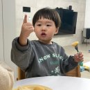 몽땅 | 어린이간식 추천, 치즈몽땅 모짜렐라 치즈볼 후기