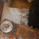 마장로319번길 이미지