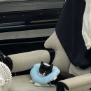 모토스파 | 포항 실내크리닝 ‘모토스파’ 문덕 손세차 후기