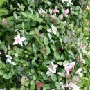 옥이농장 이미지