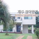 곱닥한가 이미지