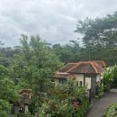 [별별클럽] Pool time | 발리 우붓 여행 2일차 - jinengku 진넹쿠 데이클럽 수영장 혼자 즐기기