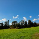 오늘은서귀포 이미지