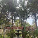 CC당구클럽 | 겨울해외골프투어, 시라차5일차 트레저힐cc 라운딩후기