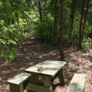 하늘빛으로 물든새 이미지