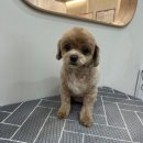 예쓰멍! 이미지