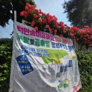 부천 백만송이장미원 후기🌹 장미 절정 시즌 +천문과학관+ 누리길 산책까지 알찬 나들이