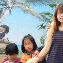 반곡 농장 이미지