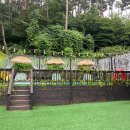 안면도위드유 이미지