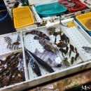 부산활어 이미지