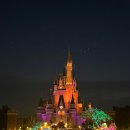 주식회사 댕아일랜드 | 일본 도쿄 디즈니랜드 후기, 미녀와야수 DPA, 어트랙션 추천